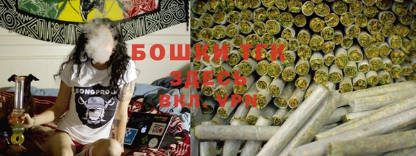 spice Алексин