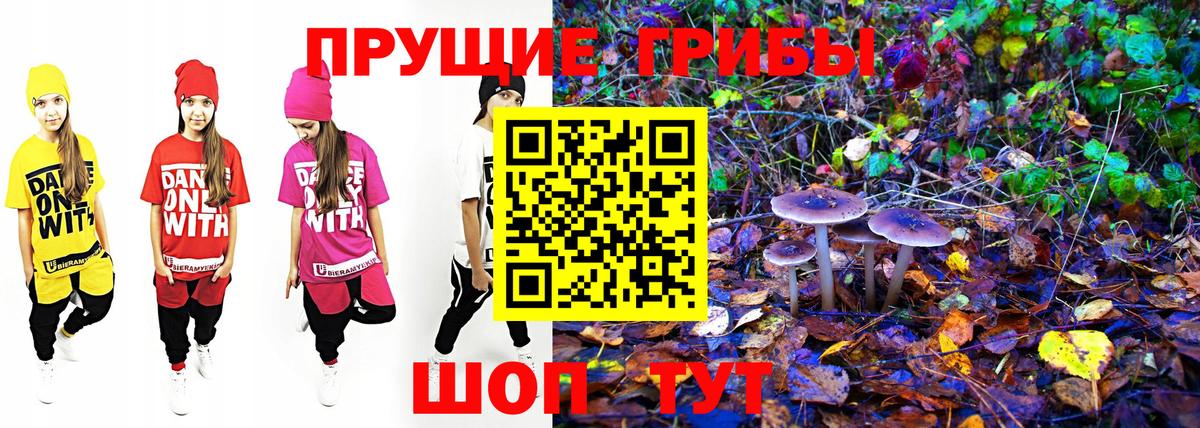 Псилоцибиновые грибы Magic Shrooms Нягань